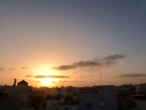 discovering the rooftop with my british brother and proceeding to wait for 2 hours to see the sun set, as if it wouldn't be there the next day