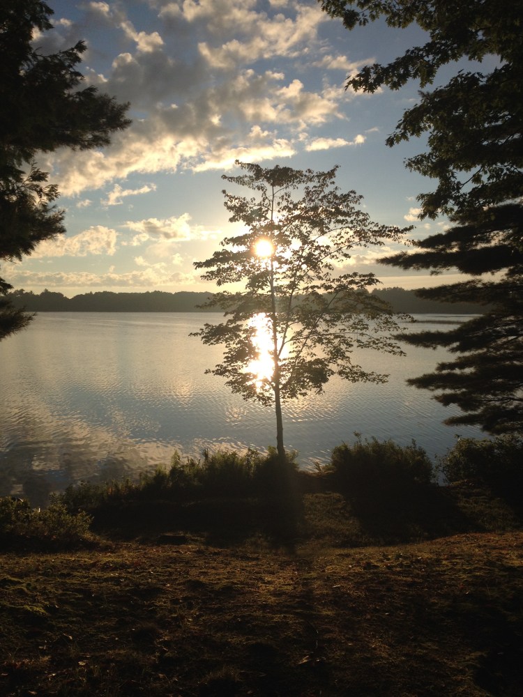 To be willing to be dazzled.